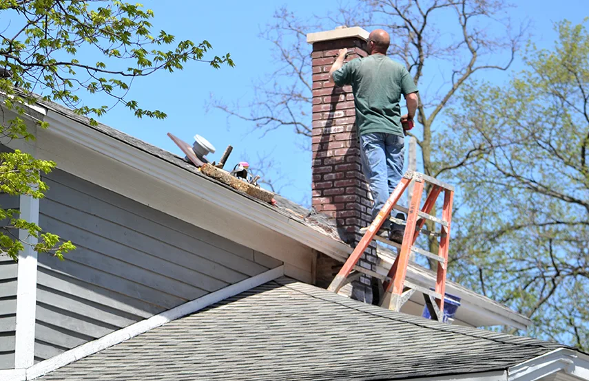 Chimney & Fireplace Inspections Services in Maple Grove, MN